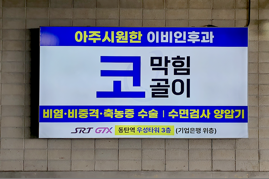 트레이더스 주자창 와이드컬러